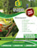 do stunning flyer design for marketing