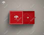 do luxury and professional product box packaging design