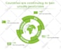 create professional infographic design for you