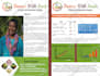 tri fold brochure two fold brochure design