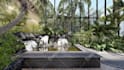 create garden or landscape 3d rendering