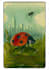 do book illustration or book cover illustration