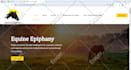 build and design professional responsive wordpress website