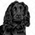 draw your pets photo for poster and custom case