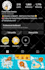 be instagram marketing manager and content creator