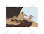cartoon or vector anything for you