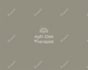 design boho botanical logo and brand kit for entrepreneurs