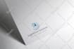 do professional business logo design