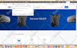 install SSL certificate on website