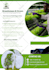 design visual appealing pitch deck presentation