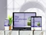 create professional wordpress website design and development with elementor