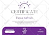 design process flow diagram, organization chart and flow chart