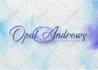 do luxury author logo or photography watermark