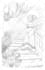 draw 19th century engraving style illustrations