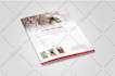design interactive electronic press kit, media kit, epk
