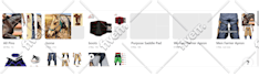 provide monthly seo service to rank your website at top of google