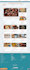 do shopify custom coding or bug fixing and customization