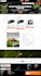 build wordpress website design, ecommerce website or custom website development