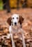 fix blurry photos, enhance, upscale and unblur your  photos
