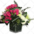 cut out images background remove professionally