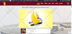 do wordpress issue fix, fix wordpress bugs, errors