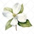 custom watercolor floral wedding crests