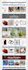 create a professional mobile friendly wordpress website