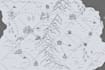 draw a custom hand drawn fantasy map for dnd, rpg, or board game