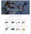 create shopify dropshipping store or shopify website store