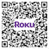 develop a professional roku TV channel app