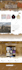 revamp, redesign, customize or build your wordpress website