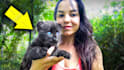 design youtube thumbnail for animal channel