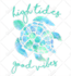 do bulk photos background removal and web optimize