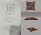 create a simple and basic 3d model