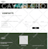 build responsive wordpress website or business website design for you