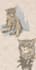silly drawings for ur pets