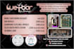 create eye catching flyers for a professional black friday sale