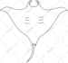 design custom vector illustrations for animation, website, app