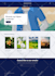 do wordpress website development for you