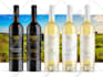 do professional and print ready wine label design