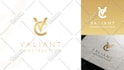 do modern minimalist luxury 3d business logo design