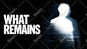 create steam capsule art and game art illustrations