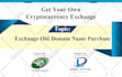 be the best crypto exchange developer