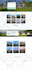 design a professional wordpress business website