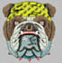 do attractive embroidery digitizing within 2 hours