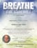 design professional flyers posters and promotional graphics