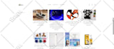 migrate your lovable website to wordpress, wix, squarespace or weebly