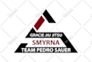 design triangle or circle logo for you