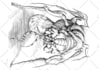 illustrate a line art character or creature for you