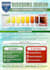 do infographic design and statistics charts for business